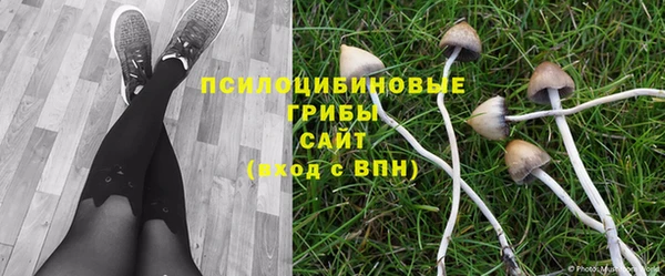 таблы Аркадак